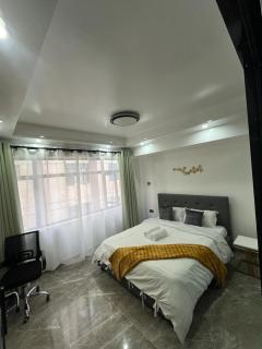 Executive Spacious Studio in Kilimani - 3