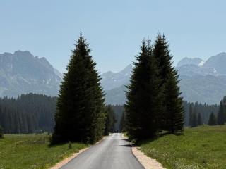 Durmitor Peaks and Pines - 1 - Babljak - 4