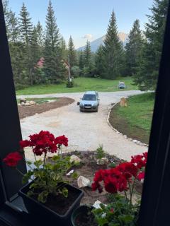 Durmitor Peaks and Pines - 1 - Babljak - 3