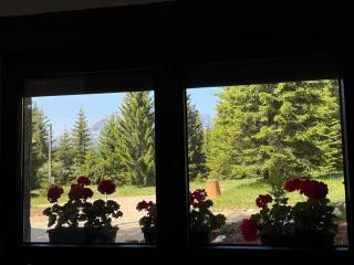 Durmitor Peaks and Pines - 1 - Babljak - 1