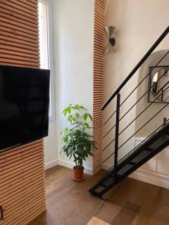 Nid douillet - maison Spinola - Bastia - 7