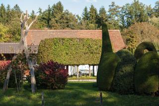 Haus Zum Nussbaum - Lindau - 4