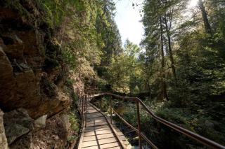 Ferienwohnung Seebachtal - Hinterzarten - 1
