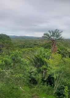 Isolated Nature retreat for peace and tranquility - 7