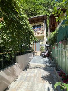 Casa din pădure - Băile Olăneşti - 9
