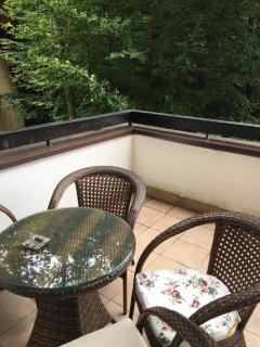 Apartament Stanca Piticului - Sinaia - 2