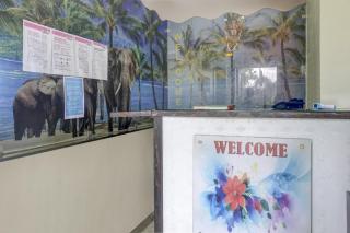 OYO Hotel Aarambh Near Fun Time Multiplex - Pune - 0