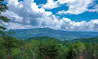 Jacksons Cabin - 8