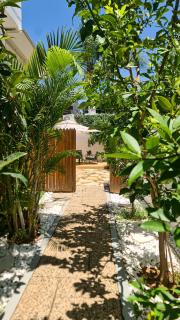 Ono Villa at Kiryat Ono - Qiryat Ono - 4