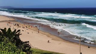 Coastal Beach Escape - Kingsburgh - 5