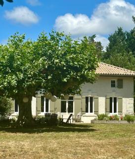 La Ferme du Miouat - Saint-Julien-en-Born - 0