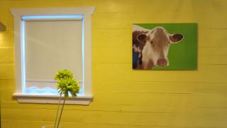 The Old Salt Box Co. - Daisy's Place - 7