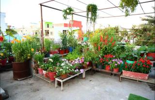 Renuka Luxury Stay - Kishanganj - 5