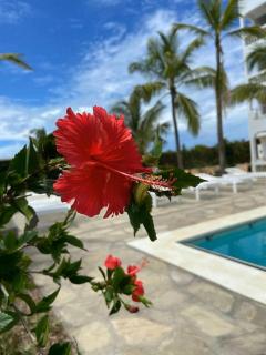 Avana Jayna Resort Watamu - Watamu - 5
