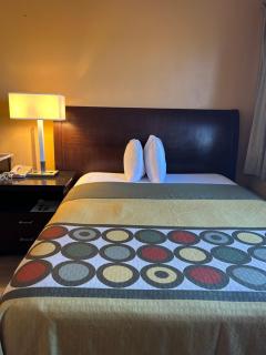 Studio Apartments - 1