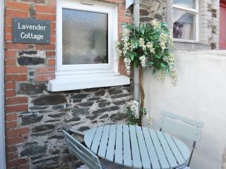Lavender Cottage - Buckfastleigh - 1