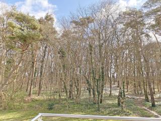 Ferienwohnung Sonnenstrand Whg 12 - Thiessow - 9