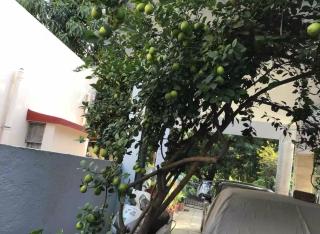 Harshita Hotel - - 6