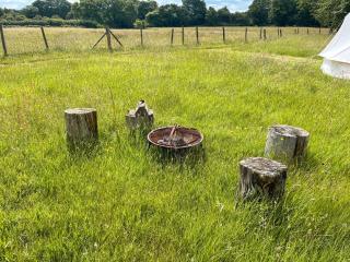 Barn Owl - Uk49932 - Shadoxhurst - 7