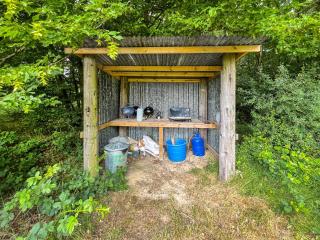Barn Owl - Uk49932 - Shadoxhurst - 6