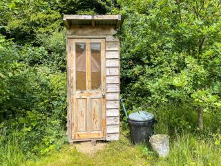 Barn Owl - Uk49932 - Shadoxhurst - 5