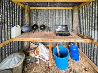 Barn Owl - Uk49932 - Shadoxhurst - 4