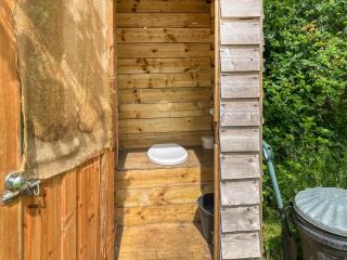 Barn Owl - Uk49932 - Shadoxhurst - 3