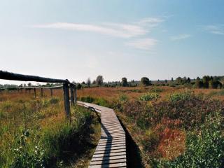 Schöne Aussicht am Eifelsteig - 8