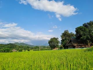 Mộc mạc nhà sàn - Làng Ha - 4