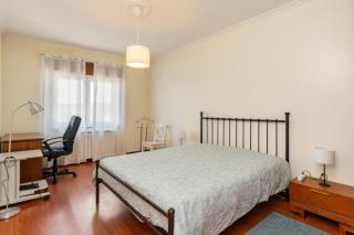 Olival Comfortable Room III - Vila Flor - 8