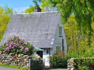 Bryn Araul - Rhydymain - 0