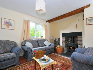 Bryn Araul - Rhydymain - 9