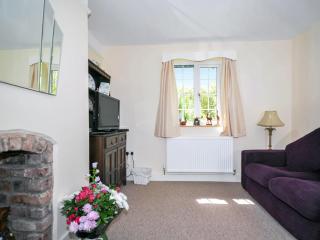 Bryn Araul - Rhydymain - 6