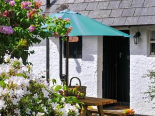 Bryn Araul - Rhydymain - 7