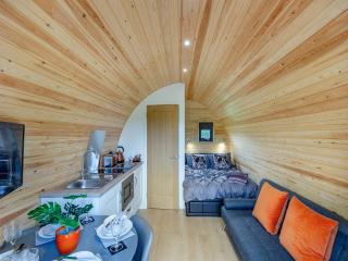 Chestnut Uk36261 - Llanfair Caereinion - 6