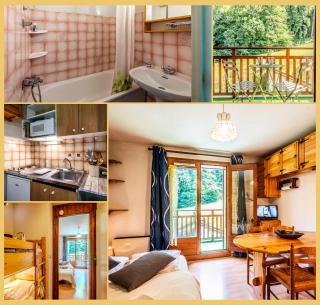 Studio La Piste Verte I Saint-Gervais - 8