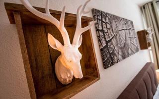 Ferienwohnung "Harz-Feeling" F-I-2-8 - 9