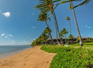 Castle at Moloka'i Shores - 9