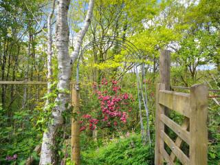 Bryn Araul - Rhydymain - 2