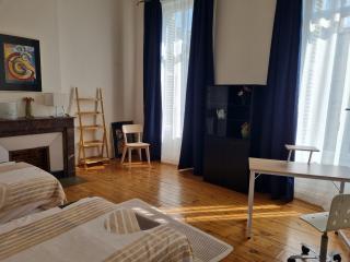 GRANDE chambre à SAINT-ETIENNE CENTRE chez l'habitant - Saint-Étienne - 8