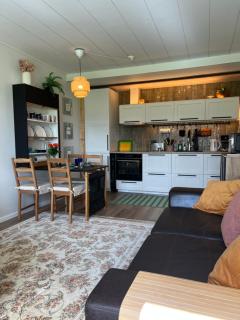 Kaisla - kaunis huoneisto järvimaisemalla - 3