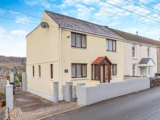 Pant Glas Cottage - Pontardawe - 1