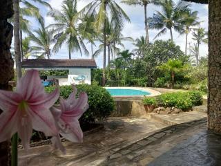 Sunny garden rooms Watamu - Watamu - 7