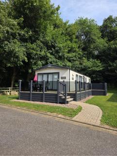 Woodland View - Paignton - 9