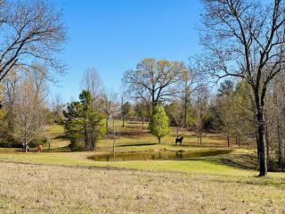 5 Star, scenic and private, 3 br 3 Ranch Experience - - 6