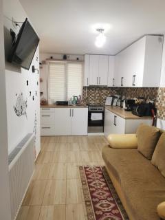 Fully Furnished Studio - Sighetu Marmaţiei - 3