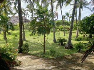 Sunny garden rooms Watamu - Watamu - 4