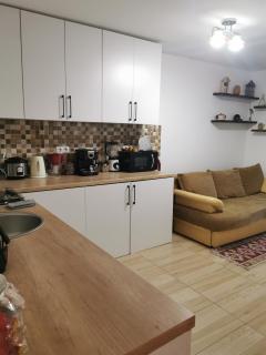 Fully Furnished Studio - Sighetu Marmaţiei - 5