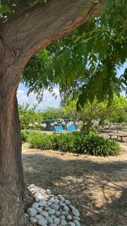 Villa Ammaliante - 2