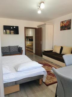 Fully Furnished Studio - Sighetu Marmaţiei - 9